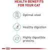 imageRoyal Canin Digestive Care Dry Cat Food 6 lb bag6 Pounds Pack of 1