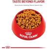 imageRoyal Canin Digestive Care Dry Cat Food 6 lb bag6 Pounds Pack of 1