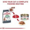 imageRoyal Canin Digestive Care Dry Cat Food 6 lb bag6 Pounds Pack of 1