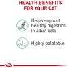 imageRoyal Canin Digestive Care Thin Slices in Gravy Wet Cat Food 3 oz can 12count12 Count Pack of 1
