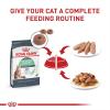 imageRoyal Canin Digestive Care Thin Slices in Gravy Wet Cat Food 3 oz can 12count12 Count Pack of 1