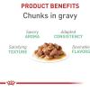 imageRoyal Canin Digestive Care Thin Slices in Gravy Wet Cat Food 3 oz can 12count3 Ounce Pack of 12