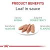imageRoyal Canin Digestive Care Thin Slices in Gravy Wet Cat Food 3 oz can 12count3 Ounce Pack of 24