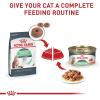 imageRoyal Canin Digestive Care Thin Slices in Gravy Wet Cat Food 3 oz can 12count3 Ounce Pack of 24