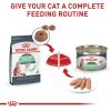 imageRoyal Canin Digestive Care Thin Slices in Gravy Wet Cat Food 3 oz can 12count51 Ounce Pack of 24