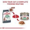 imageRoyal Canin Digestive Care Thin Slices in Gravy Wet Cat Food 3 oz can 12count51 Ounce Pack of 24