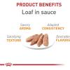 imageRoyal Canin Feline Care Nutrition Hair ampamp Skin Care Loaf in Sauce Canned Cat Food 3 oz can 24countPork