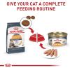 imageRoyal Canin Feline Care Nutrition Hair ampamp Skin Care Loaf in Sauce Canned Cat Food 3 oz can 24countPork