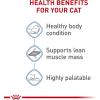 imageRoyal Canin Feline Weight Care Loaf in Sauce Canned Adult Wet Cat Food 3 oz cans 24count1 Count Pack of 24