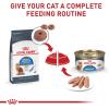 imageRoyal Canin Feline Weight Care Loaf in Sauce Canned Adult Wet Cat Food 3 oz cans 24count1 Count Pack of 24
