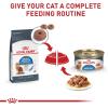 imageRoyal Canin Feline Weight Care Loaf in Sauce Canned Adult Wet Cat Food 3 oz cans 24count3 Ounce Pack of 24