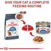 imageRoyal Canin Feline Weight Care Loaf in Sauce Canned Adult Wet Cat Food 3 oz cans 24count51 Ounce Pack of 24