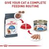 imageRoyal Canin Feline Weight Care Loaf in Sauce Canned Adult Wet Cat Food 3 oz cans 24count51 Ounce Pack of 24