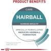 imageRoyal Canin Hairball Care Dry Cat Food 6 lb bag14 Pound Pack of 1