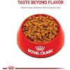 imageRoyal Canin Hairball Care Dry Cat Food 6 lb bag14 Pound Pack of 1