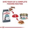 imageRoyal Canin Hairball Care Dry Cat Food 6 lb bag3 Pound Pack of 1