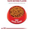 imageRoyal Canin Hairball Care Dry Cat Food 6 lb bag3 Pound Pack of 1