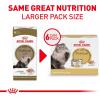 imageRoyal Canin Maine Coon Breed Adult Dry Cat Food 14 lb bag3 Ounce Pack of 6