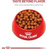 imageRoyal Canin Maine Coon Breed Adult Dry Cat Food 14 lb bag6 Pound Pack of 1