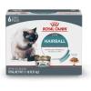 imageRoyal Canin Hairball Care Thin Slices In Gravy Wet Cat Food 3 oz can 6pack3 Ounce Pack of 6