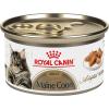 imageRoyal Canin Maine Coon Breed Adult Dry Cat Food 14 lb bag3 Ounce Pack of 24