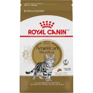 imageRoyal Canin American Shorthair Breed Adult Dry Cat Food 55 lb55 Pound Pack of 1