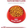 imageRoyal Canin Feline Weight Care Adult Dry Cat Food 6 lb bagOriginal