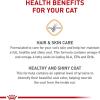 imageRoyal Canin Hair ampamp Skin Care Dry Cat Food 6 lb bag6 Pound Pack of 1