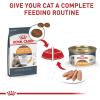 imageRoyal Canin Hair ampamp Skin Care Dry Cat Food 6 lb bag6 Pound Pack of 1