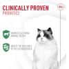 imageRoyal Canin Probiotics for Cats Digestive and Immune Health Powder Supplement for Cats of All Ages 7 Count