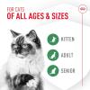 imageRoyal Canin Probiotics for Cats Digestive and Immune Health Powder Supplement for Cats of All Ages 7 Count