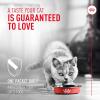 imageRoyal Canin Probiotics for Cats Digestive and Immune Health Powder Supplement for Cats of All Ages 7 Count