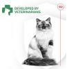 imageRoyal Canin Probiotics for Cats Digestive and Immune Health Powder Supplement for Cats of All Ages 7 Count