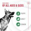 imageRoyal Canin Probiotics for Dogs Digestive and Immune Health Powder Supplement for Dogs of All Ages 30 Count