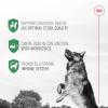 imageRoyal Canin Probiotics for Dogs Digestive and Immune Health Powder Supplement for Dogs of All Ages 7 Count