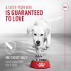imageRoyal Canin Probiotics for Dogs Digestive and Immune Health Powder Supplement for Dogs of All Ages 7 Count