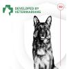 imageRoyal Canin Probiotics for Dogs Digestive and Immune Health Powder Supplement for Dogs of All Ages 7 Count