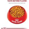 imageRoyal Canin Feline Care Nutrition Weight Care Adult Dry Cat Food 3 lb bag14 Pound Pack of 1
